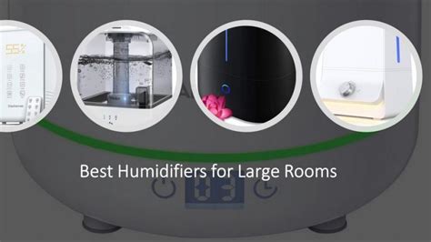 5 Best Humidifiers For Large Rooms Ultrasonic Reviews 2023