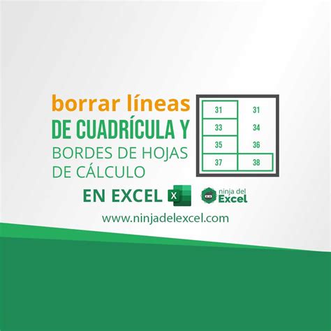 Borrar Líneas de Cuadrícula en Excel Ninja del Excel