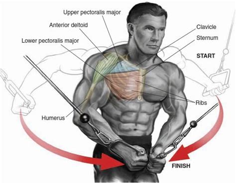 Superset Chest Workout The Best Supersets To Build A Bigger Chest