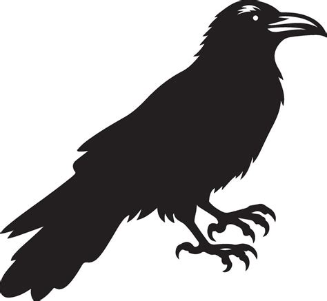 Silhouette of a Raven bird design 49310885 Vector Art at Vecteezy