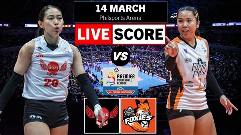 Petro Gazz Angels Vs Farm Fresh Foxies Pvl Live Scoreboard All