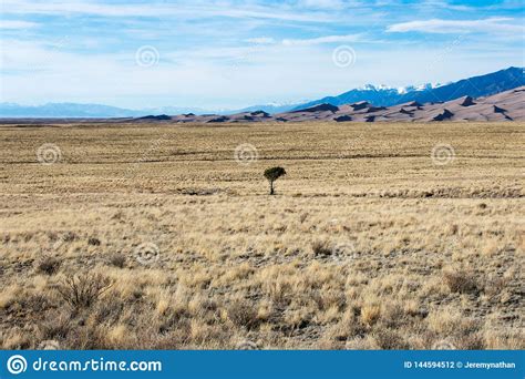 Grandes Dunas De Areia Colorado Paisagem Ocidental Do Deserto Foto De