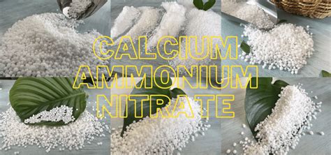 China Ammonium Calcium Nitrate Fertiliser Suppliers Producer