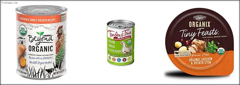 Top 10 Best Organic Canned Dog Food With Expert Recommendation - Findinges