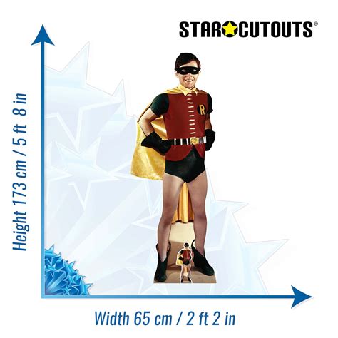 burt ward robin costume