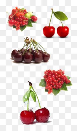 La Barbade Cerises Cerise Fruits Png La Barbade Cerises Cerise