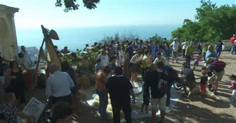 A Scuola Di Vendemmia Alla Vigna Di San Martino