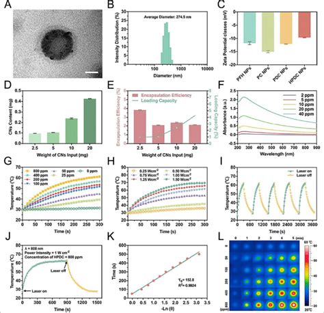 Characterization And In Vitro Photothermal Performance Of Hpdc Nps A