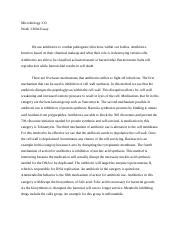 Week Mini Essay Docx Microbiology Week Mini Essay We Use