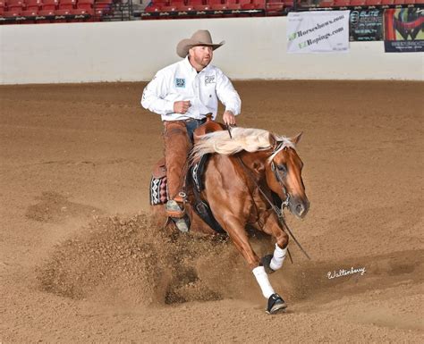 South Dakota trainer sees success with reining horses | TSLN.com