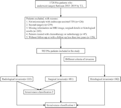 Figure 1 From Classifying Pituitary Adenoma Invasiveness Based On