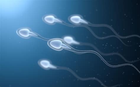 Premium Photo Human Sperm Cells 3d Rendering