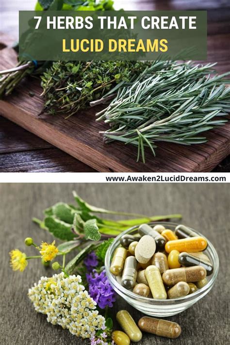 What Herbs Are Good For Lucid Dreaming In Lucid Dreaming Dream