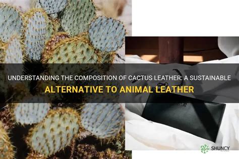 Understanding The Composition Of Cactus Leather A Sustainable