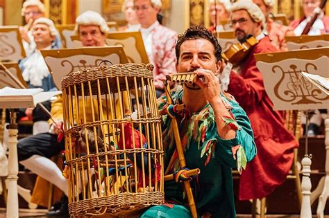 Mozart VIP Package Concert With Dinner And Carriage Ride In Vienna