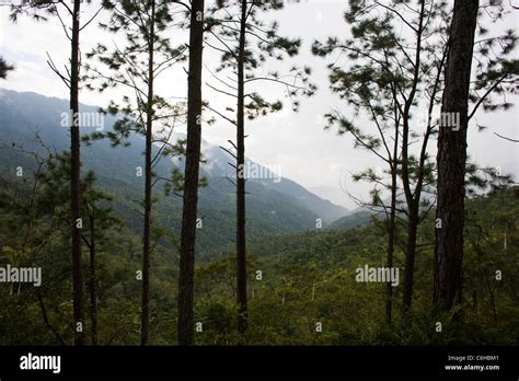 Sierra maestra mountains cuba hi-res stock photography and images - Alamy