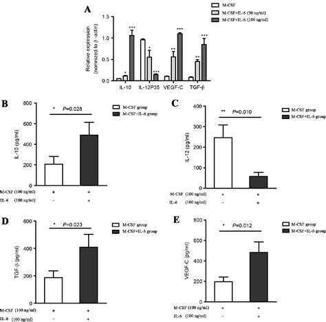 Figure 2 From High Density Of CD68 Tumor Associated Macrophages