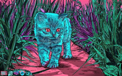 Trippy Cat Wallpapers Top Free Trippy Cat Backgrounds Wallpaperaccess