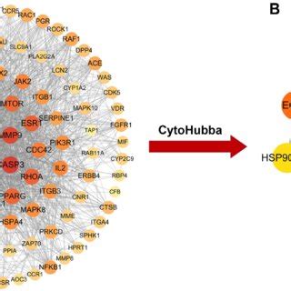 Molecular Docking Of Triptolide With Akt A Mtor B And Pik R C