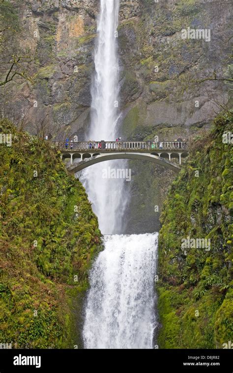 Multnomah Falls, in the Columbia River Gorge, northern Oregon Stock Photo - Alamy