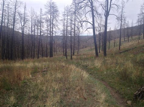 Sugarite Canyon State Park Mountain Bike Trail in Raton, New Mexico - Directions, Maps, Photos ...