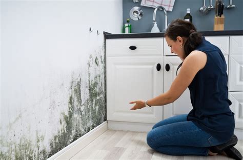 A Mini Guide On Filing A Mold Damage Insurance Claim For Your Home