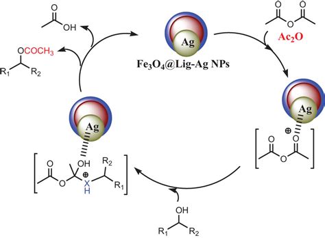 Effects Of Green Decorated Agnps On Lignin Modified Magnetic