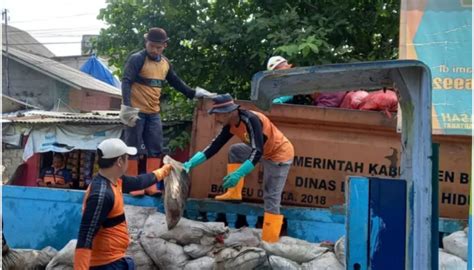 Tumpukan Sampah Di Bojonggede Diangkut Bertahap Rakyat Bogor