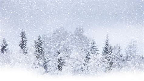 Live Snow Falling Wallpaper 54 Images