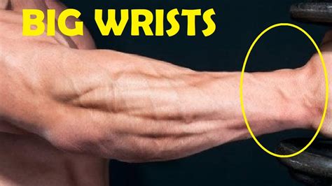 How To Get Bigger Forearms And Wrists Full Workouts Atelier Yuwa