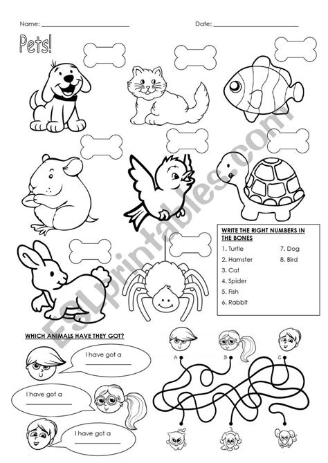 Pets Esl Worksheet By Martasarmientoc