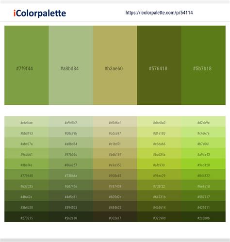 4 Latest Color Schemes with Olivine And Olive Green Color tone combinations | 2023 | iColorpalette