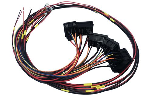 Wiring Harness: The Ultimate Custom Guide - WIRINGO