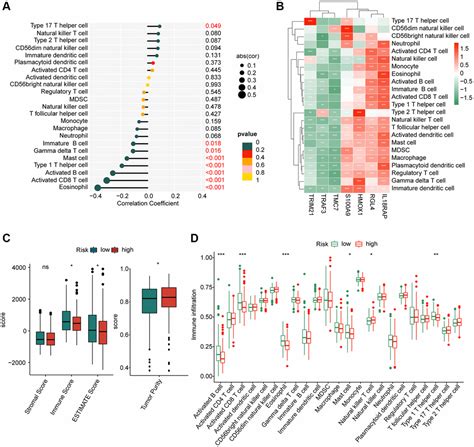 Characteristic Of Molecular Subtypes Based On Panoptosis Related Genes