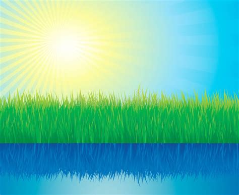 Vector Grass Illustration Near The Water Stock Vector Illustration Of Farm Grass 8204287