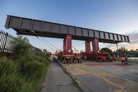 Video Mammoet Verplaatst Bruggen Alsof Het Niets Is Ttm Nl