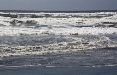 Eel River Wildlife Area in Loleta, CA - California Beaches