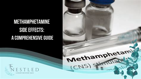 Methamphetamine Side Effects: A Comprehensive Guide | The Nestled ...