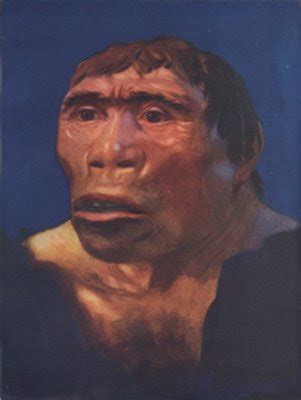 Indonesian Cultures: Java Man : Fossils Discovered in 1891 at Java ...