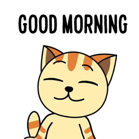 Purrlene The Cat Good Morning GIF - Purrlene the cat Good Morning Good ...