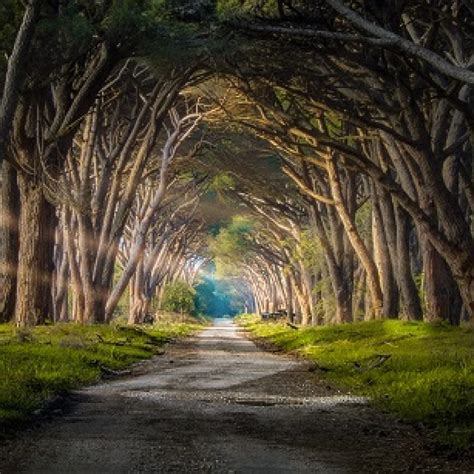 Parco Naturale Di Migliarino San Rossore Massaciuccoli