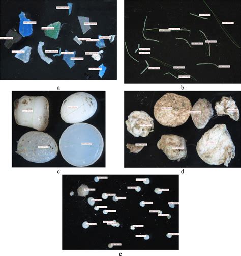 Examples Of The Collected Microplastics Fragment A Filament B