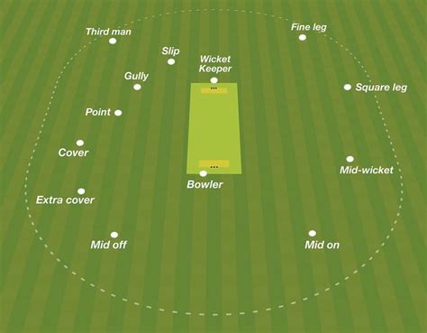 Cricket Fielding Positions: Complete Guide with Names and Roles - India ...