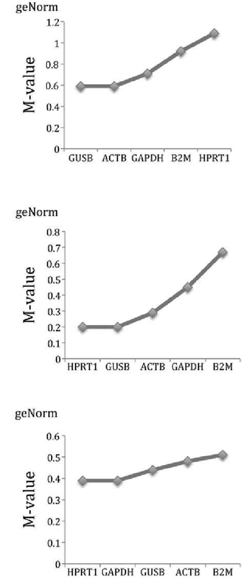 Stability Ranking Of The Candidate Reference Genes Using The Genorm