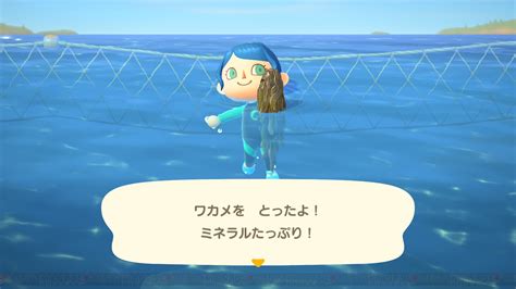 ＜画像1018＞7月に捕りたいサカナと海の幸を調べてみた！【あつ森日記＃209】 電撃オンライン