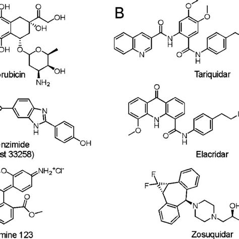 Considered compounds: high-affinity P-gp substrates (A); third ...