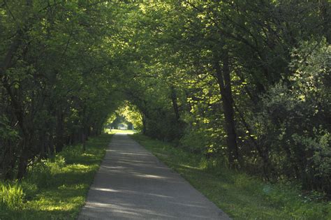 Minnesotas Tunnel Of Trees Is Positively Magical And You Need To Visit