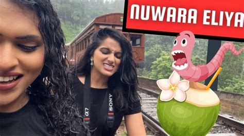 NUWARA ELIYA VLOG தமழ VLOG YouTube