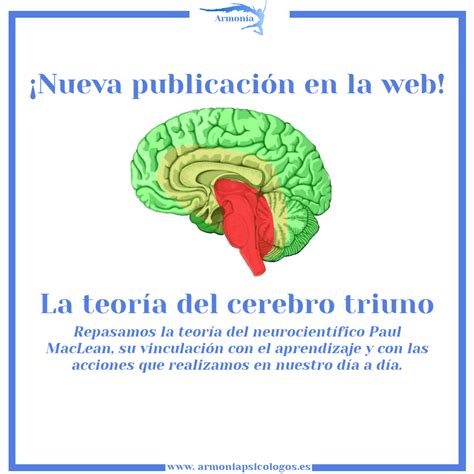 Cerebro triuno Descubre cómo funciona tu mente Teoría Online