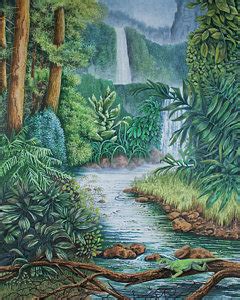 Tropical Rainforest Drawing at PaintingValley.com | Explore collection ...